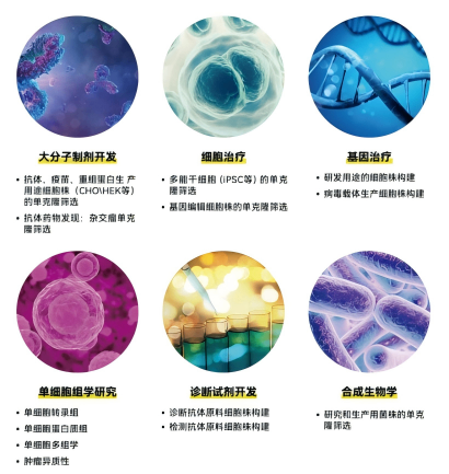 图四.png