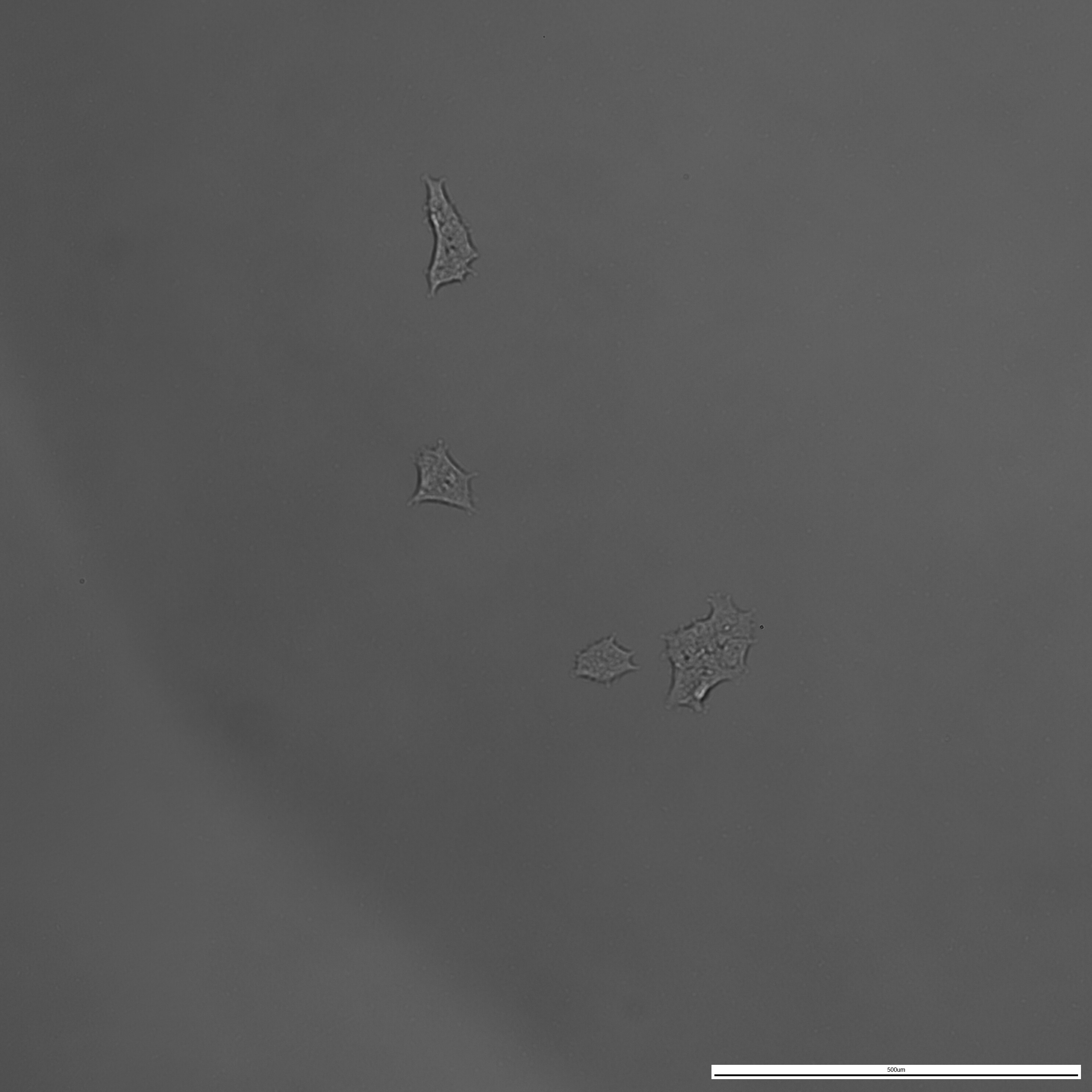 20260203_144058.jpg