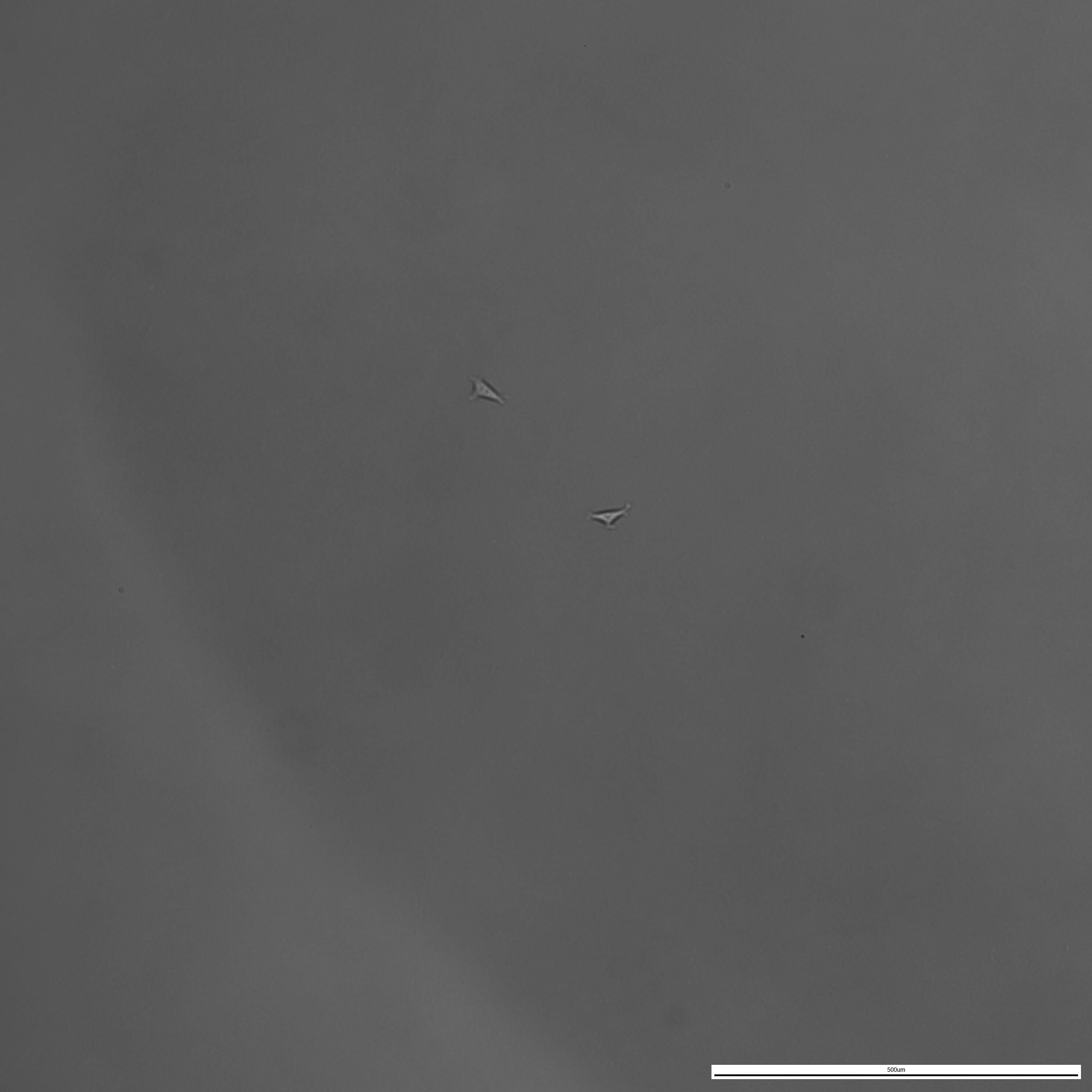 20260130_162728.jpg