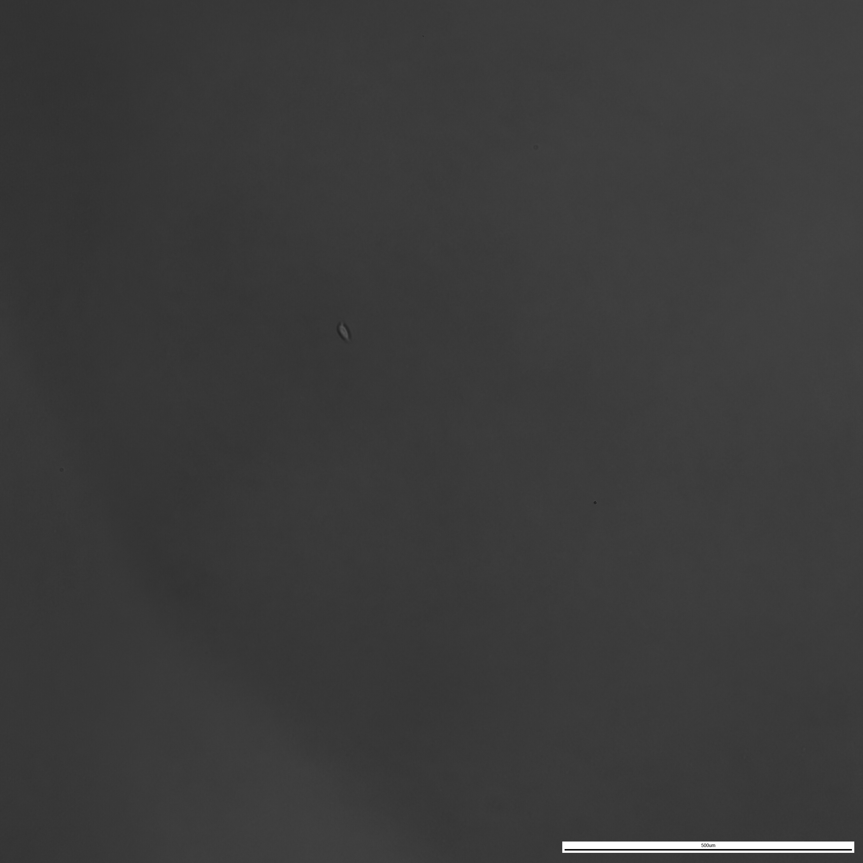 20260129_172422.jpg