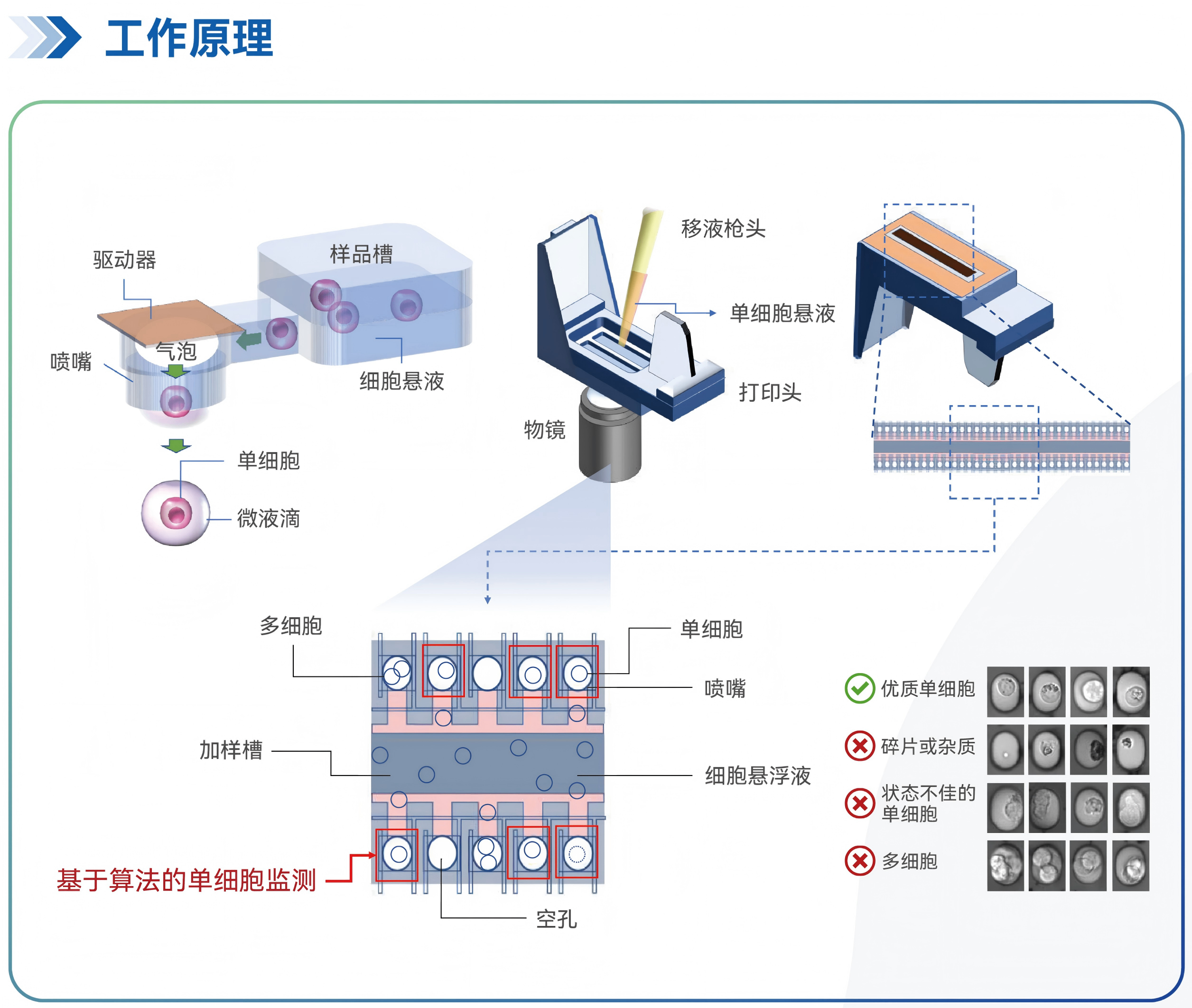 配图5.png