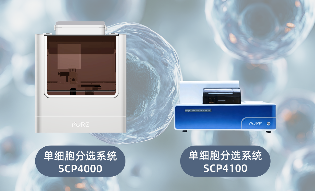 默认标题__2026-07-03+11_08_56.png