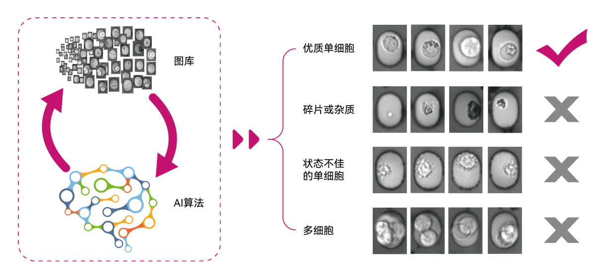 配图2.png