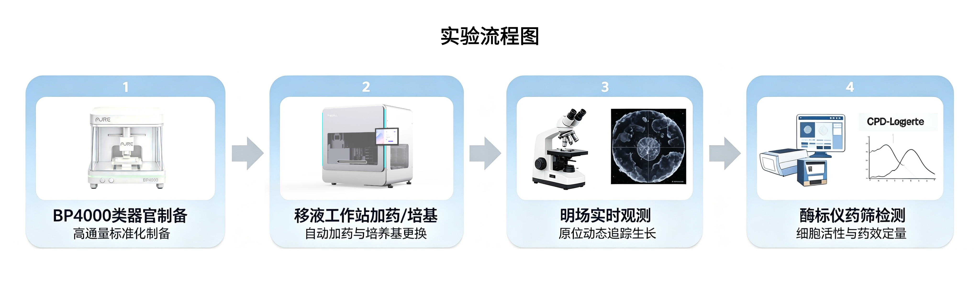 默认标题__2026-09-11+16_38_42.png