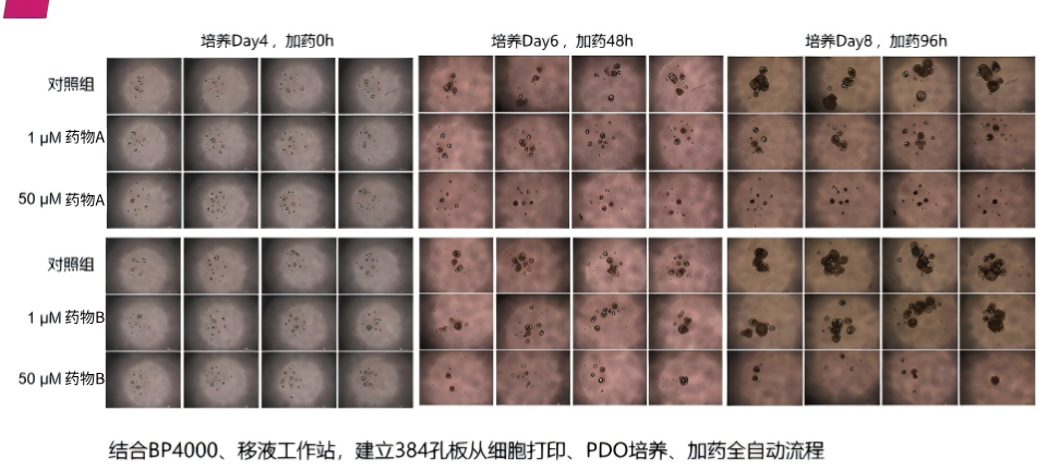 默认标题__2026-09-11+11_32_53.png